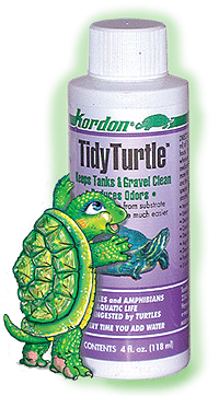 Tidy Turtle producto tienda