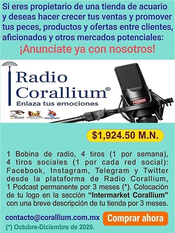 Comtrov1234