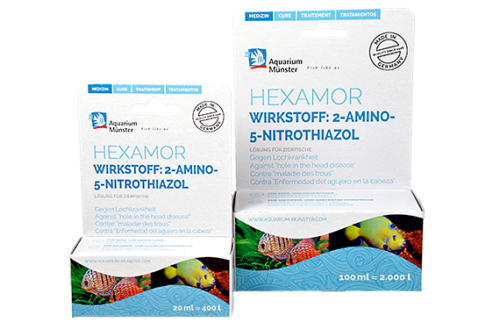 Dinoflagelados intestinales